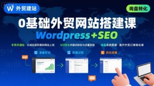 WordPress外贸建站+SEO优化课程,手把手教你从0到1搭建可获得询盘的外贸网站-淘金日记