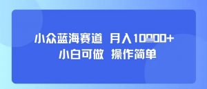 小众蓝海赛道,小白可做,操作简单,每天30分钟,月入1W+-淘金日记