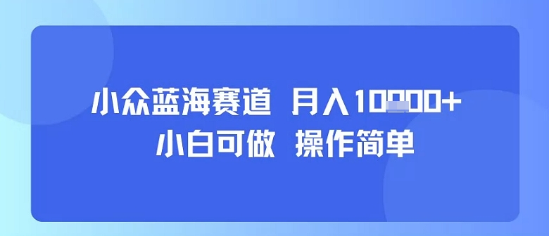 小众蓝海赛道,小白可做,操作简单,每天30分钟,月入1W+-淘金日记