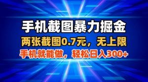 手机截图暴力掘金,两张截图0.7米,一部手机就能做,轻松日入3张+【揭秘】-淘金日记