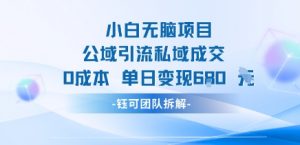 小白无脑项目公域引流私域成交0成本单日变现680米-淘金日记