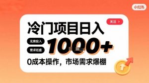 在小红书上发现个冷门路子，需求不小，零成本操作，每天能有1k进账-淘金日记