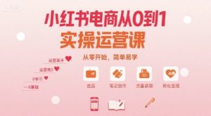 小红书电商从0到1实操运营课,从零开始,简单易学-淘金日记