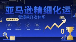 亚马逊精细化运营爆款打造体系,视频课+全套资料文档-淘金日记