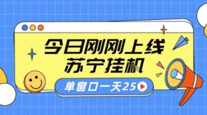 苏宁全自动采集挂G项目 稳定可批量 单窗口收益30+ 附教程【揭秘】-淘金日记