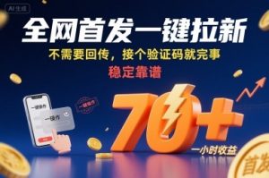 全网首发一键拉新项目,不需要回传,接个验证码就完事,稳定靠谱,一小时收益70+【揭秘】-淘金日记
