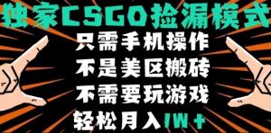 CSGO自动捡漏项目,最新独家玩法,不是美区搬砖,不需要了解和玩游戏,新手小白轻松月入1W+【揭秘】-淘金日记