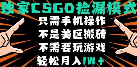 CSGO自动捡漏项目,最新独家玩法,不是美区搬砖,不需要了解和玩游戏,新手小白轻松月入1W+【揭秘】-淘金日记