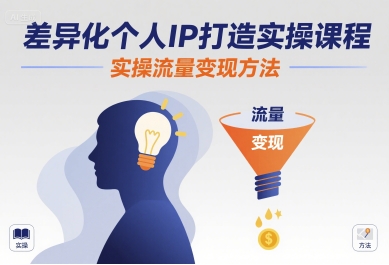 差异化个人IP打造实操课程，实操流量变现方法-淘金日记