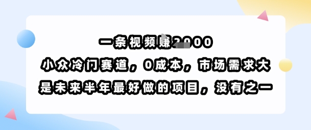 一条视频挣1k，小众冷门赛道，0成本，市场需求大，是未来半年最好做的项目，没有之一-淘金日记