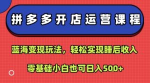 拼多多开店运营课程:蓝海变现玩法,轻松实现睡后收入,零基础小白也可日入5张-淘金日记
