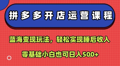 拼多多开店运营课程：蓝海变现玩法，轻松实现睡后收入，零基础小白也可日入5张-淘金日记