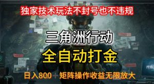 三角洲最新全自动G机,独家技术玩法,不封号也不违规, 日入8张+可矩阵操作,收益无限放大【揭秘】-淘金日记