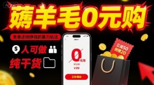 薅羊毛0元购，免单还倒挣钱的暴力玩法，人人可做，纯干货-淘金日记