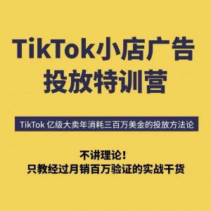 TikTok小店广告投放特训营,6天破局计划专治各种“投不动”,教你经过月销百万验证的实战干货-淘金日记