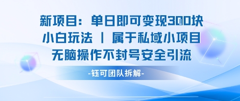 新项目单日即可变现3张的小白玩法无脑操作不封号安全引流-淘金日记
