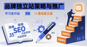 品牌独立站策略与推广,学习是开始,落地是王道-淘金日记