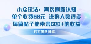 小众玩法再次刷新认知单个收费68米进群人数很多每篇帖子能带来6张的收益-淘金日记
