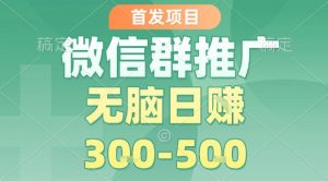首发项目,微信群推广,一天15单,每单利润10米,无脑日入3-5张【揭秘】-淘金日记