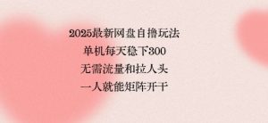 2025最新网盘自撸玩法,单机每天稳下3张,无需流量和拉人头,一个人就可轻松矩阵,全网独一份【揭秘】-淘金日记