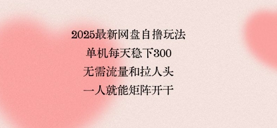 2025最新网盘自撸玩法,单机每天稳下3张,无需流量和拉人头,一个人就可轻松矩阵,全网独一份【揭秘】-淘金日记