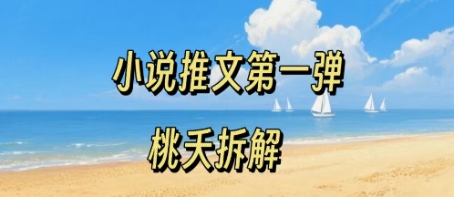 小说推文项目操作全流程第一弹,0粉就能做,门槛低非常适合新手-淘金日记