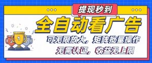 全自动看广告项目,可无限放大,可矩阵批量操作-淘金日记