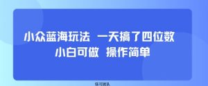 小众蓝海玩法 一天搞了四位数 小白可做 操作简单-淘金日记