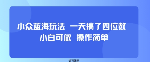 小众蓝海玩法 一天搞了四位数 小白可做 操作简单-淘金日记