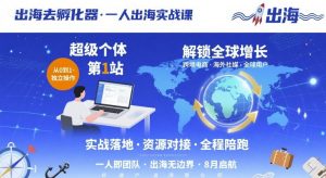 出海去孵化器,一人出海实战课,超级个体第1站,解锁全球增长-淘金日记