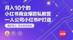 月入10个的小红书商业爆款私教营，一人公司小红书IP打造，爆款笔记，商业变现秘籍-淘金日记