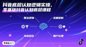 抖音底层认知逻辑实操,零基础抖音认知底层课程-淘金日记