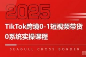 TikTok跨境0-1短视频带货,系统拆解TikTok跨境带货全链路,实现跨境可持续盈利-淘金日记