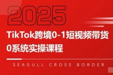 TikTok跨境0-1短视频带货,系统拆解TikTok跨境带货全链路,实现跨境可持续盈利-淘金日记