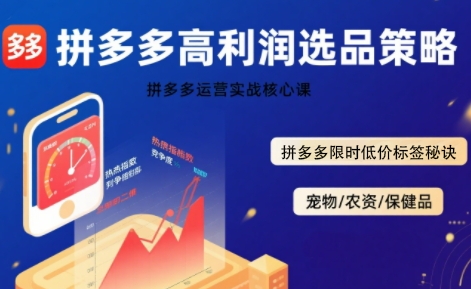 拼多多选品暴利技术实战课,拼多多高利润选品策略,拼多多限时低价标签秘诀-淘金日记
