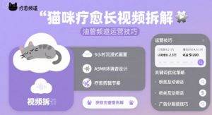 猫咪疗愈长视频拆解 &油管频道运营技巧-淘金日记