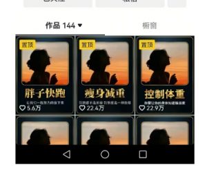 超高变现的短视频减肥细分赛道，减肥账号抖音实战训练营-淘金日记
