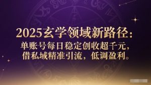 2025玄学领域新路径:单账号每日稳定创收1k+,借私域精准引流,低调盈利-淘金日记