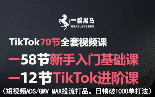 TikTok全套视频课,新手入门+进阶课,短视频ADS-GMV MAX投流打品,日销破1000单打法-淘金日记