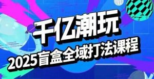 2025盲盒全域全套打法课,盲盒起号、选品、话术、私域等-淘金日记