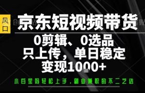 你出账号,我来运营,保底日入1k+,开启躺賺模式【揭秘】-淘金日记