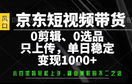 你出账号,我来运营,保底日入1k+,开启躺賺模式【揭秘】-淘金日记
