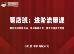 小红薯薯店商城卖货,进阶流量课,教你如何开店选品、如何系统引流,实现快速卖货变现-淘金日记