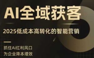 AI全域获客实训营,2025低成本高转化的智能营销,精准找客,高效营销-淘金日记