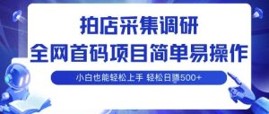 拍店采集调研，全网首码项目，简单易操作， 小白也能轻松上手，多账号操作，轻松日入5张【揭秘】-淘金日记