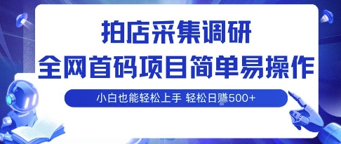 拍店采集调研,全网首码项目,简单易操作, 小白也能轻松上手,多账号操作,轻松日入5张【揭秘】-淘金日记