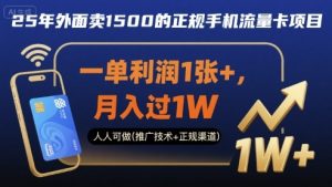 25年外面卖1500的正规手机流量卡项目,一单利润1张+,月入过1W,人人可做(推广技术+正规渠道)【揭秘】-淘金日记