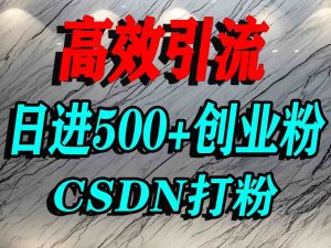 怎么打创业粉?CSDN又一个你不知道的打粉引流神秘平台,单人日引500+精准流量-淘金日记