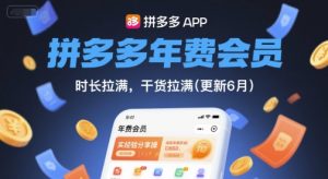 拼多多年费会员，实经验分享操，时长拉满，干货拉满(更新9月)-淘金日记
