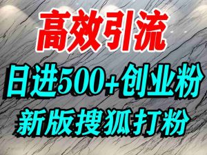 怎么打创业粉?搜狐网打精准创业粉,打粉引流教程,单人日引500+精准创业粉-淘金日记